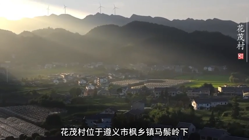 花茂村：“花繁叶茂”乡愁浓